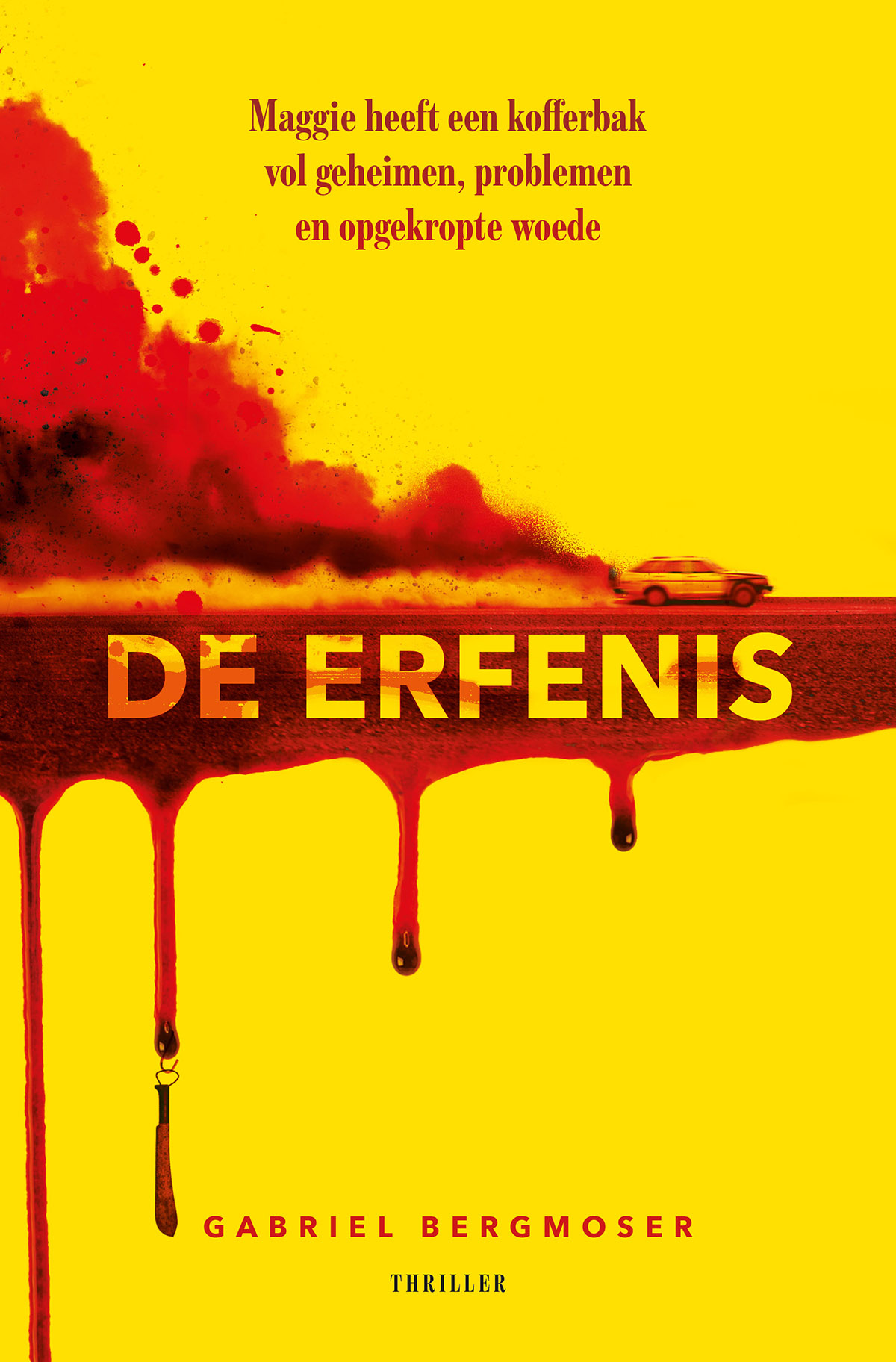 Omslag van De erfenis