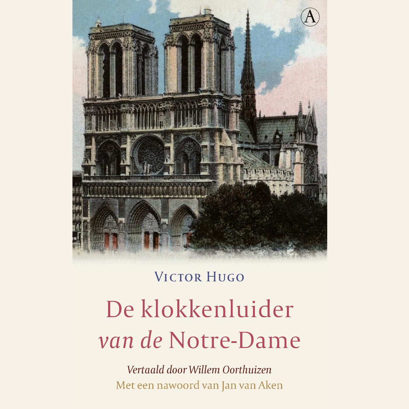Omslag van De klokkenluider van de Notre-Dame