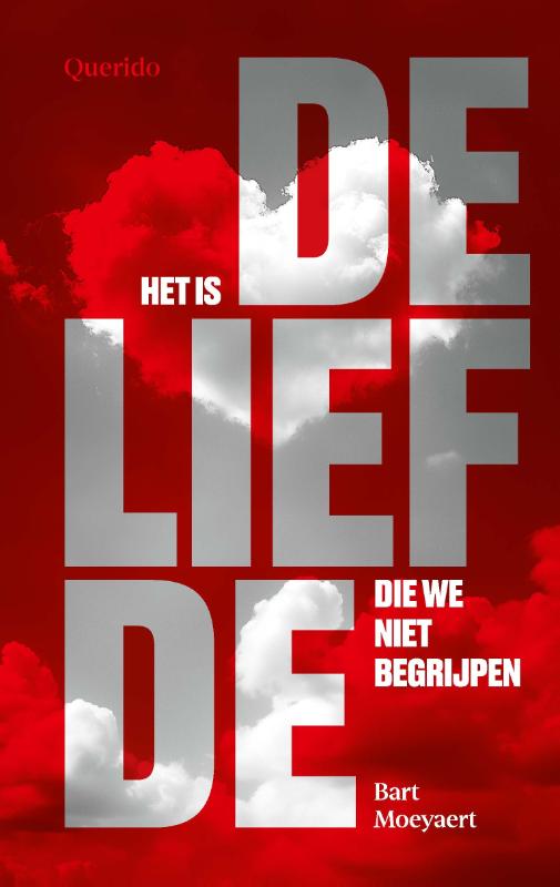 Omslag van Het is de liefde die we niet begrijpen