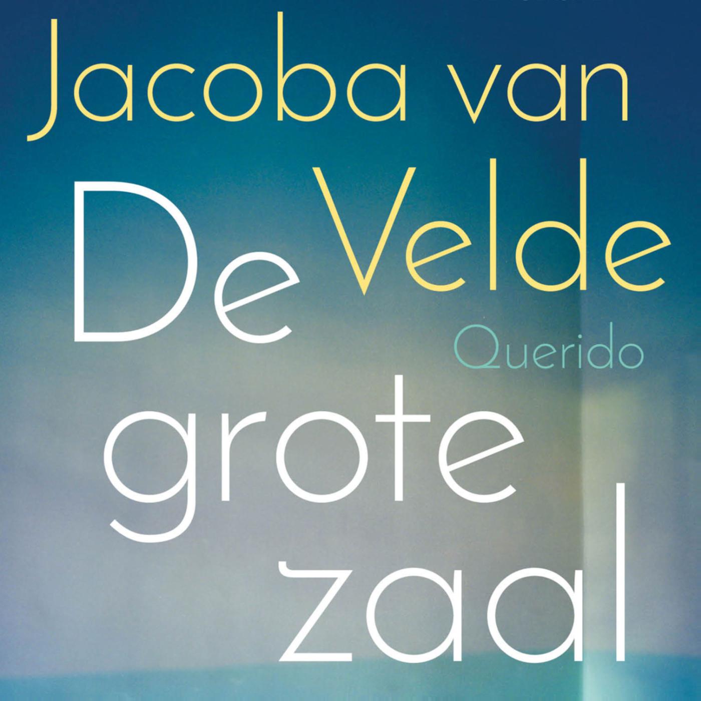 Omslag van De grote zaal