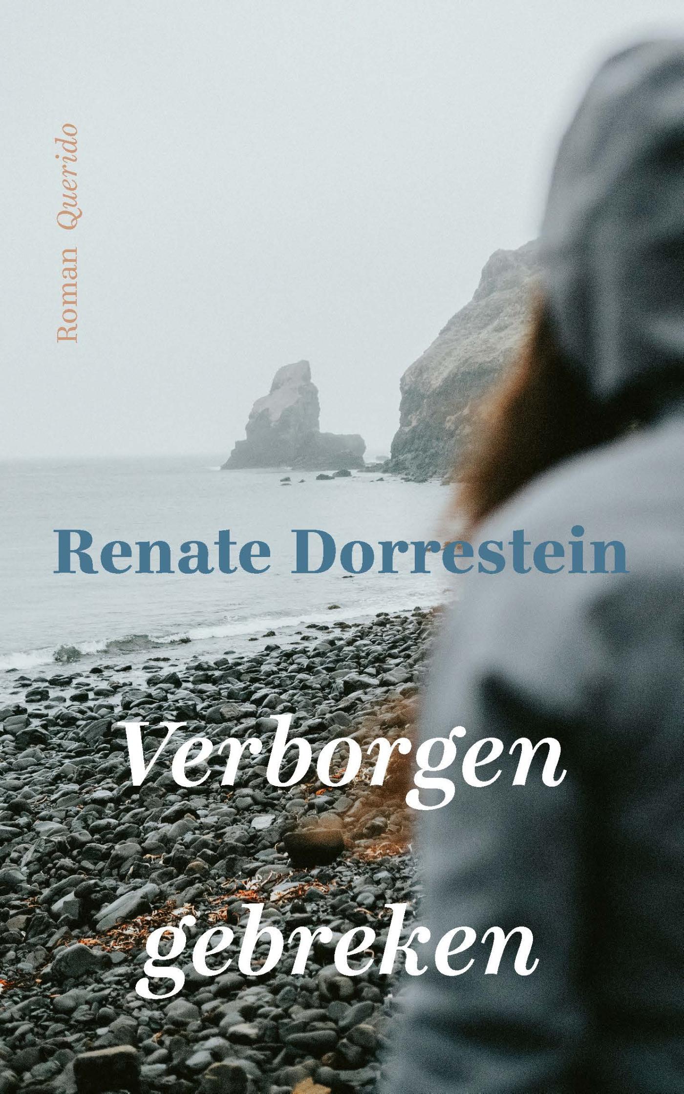 Omslag van Verborgen gebreken