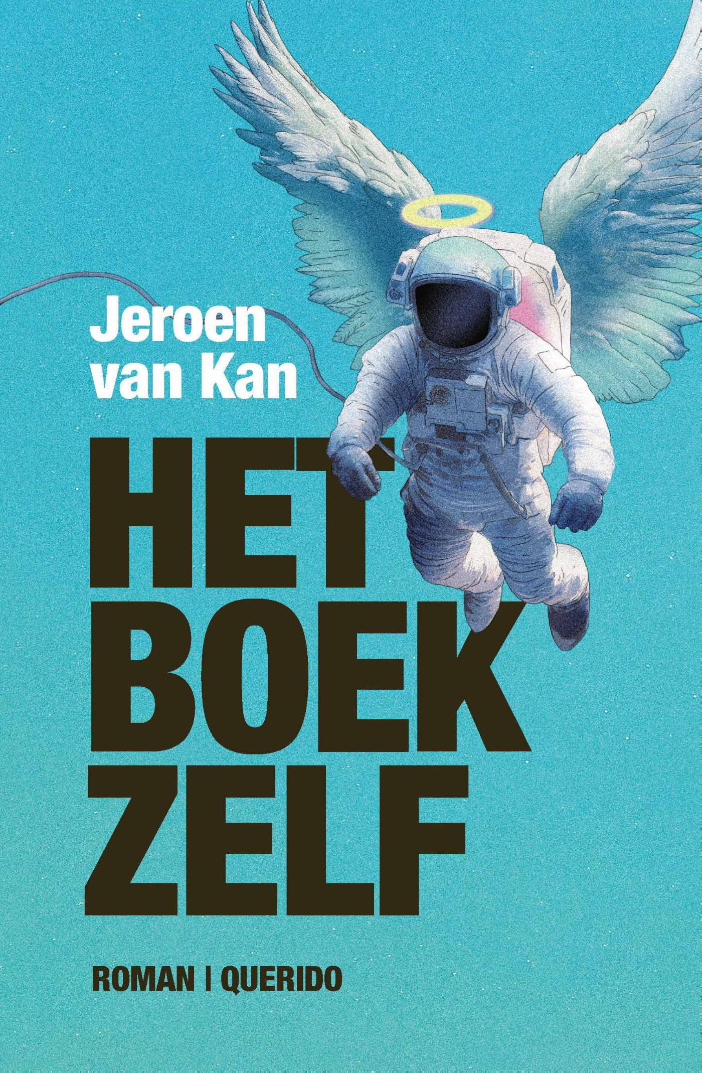 Omslag van Het boek zelf