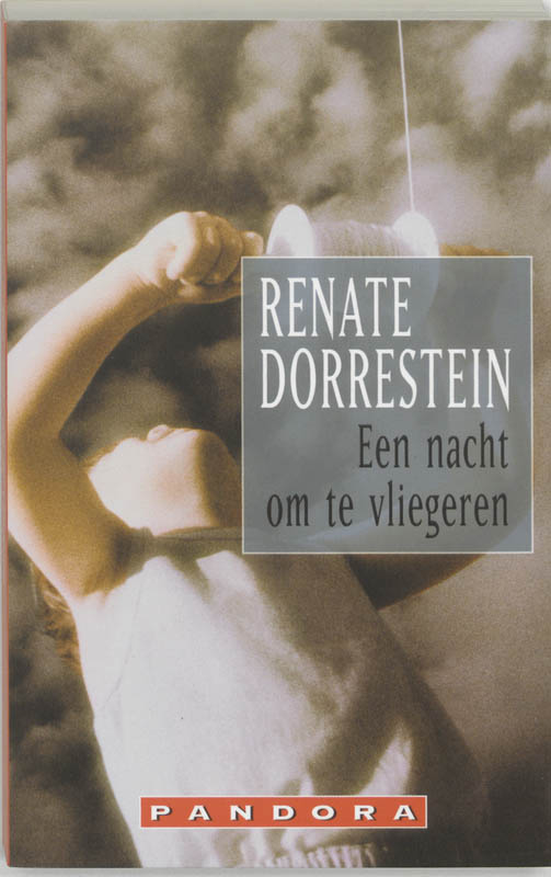 Omslag van Een nacht om te vliegeren