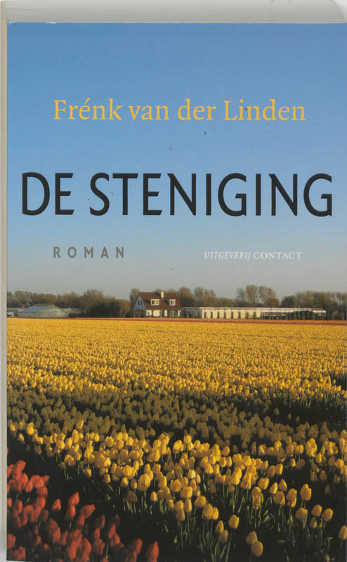 Omslag van De steniging
