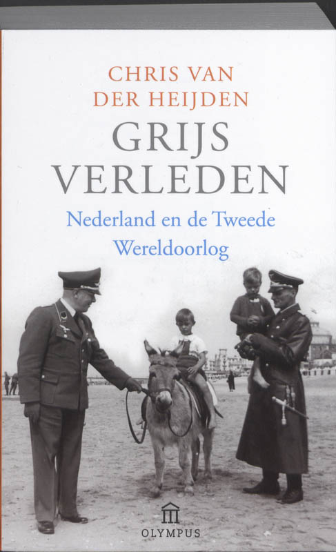 Omslag van Grijs verleden