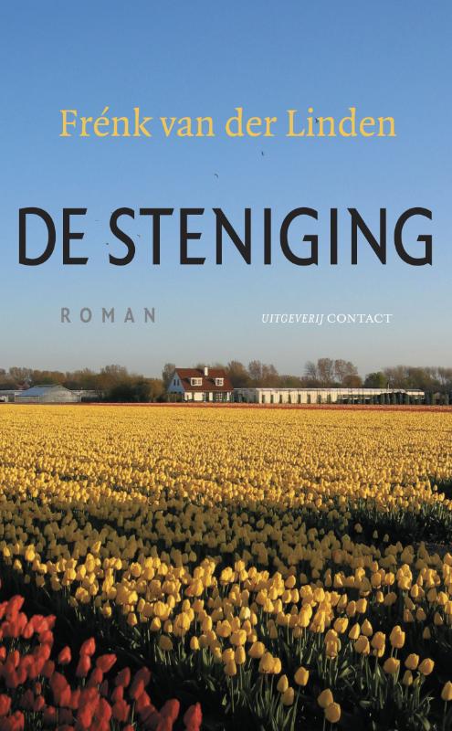 Omslag van De steniging