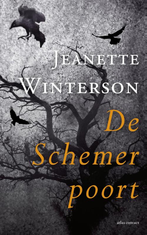 Omslag van De Schemerpoort