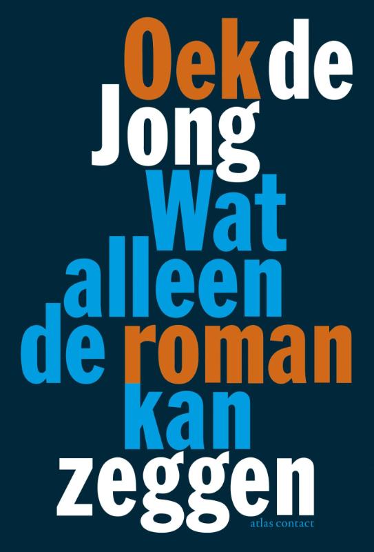 Omslag van Wat alleen de roman kan zeggen