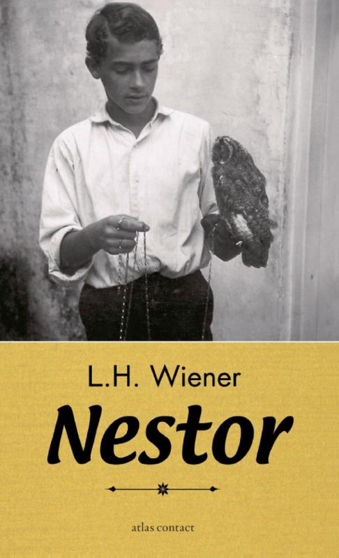 Omslag van Nestor
