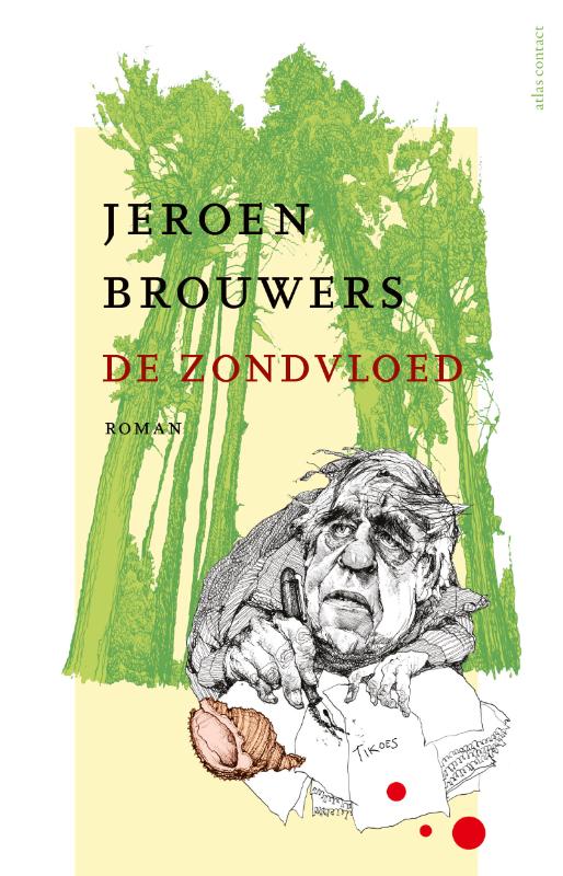 Omslag van De zondvloed