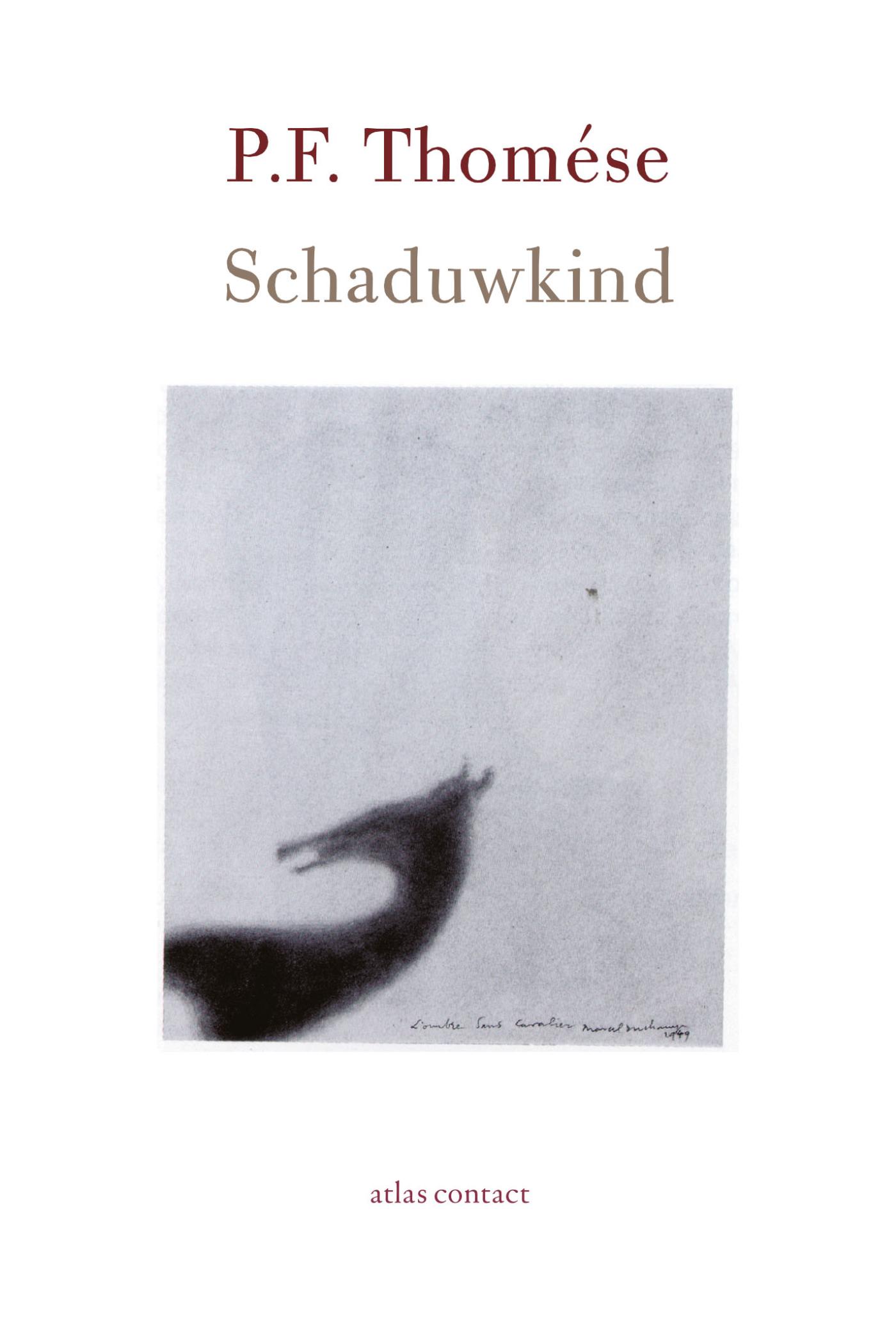Omslag van Schaduwkind