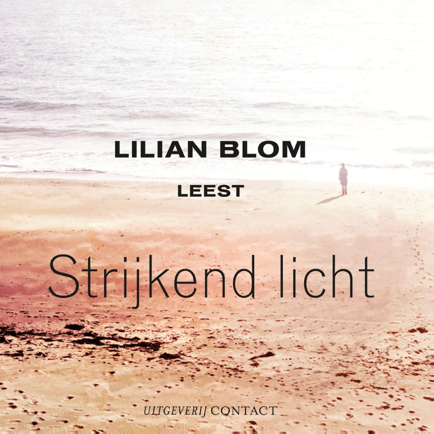 Omslag van Strijkend licht