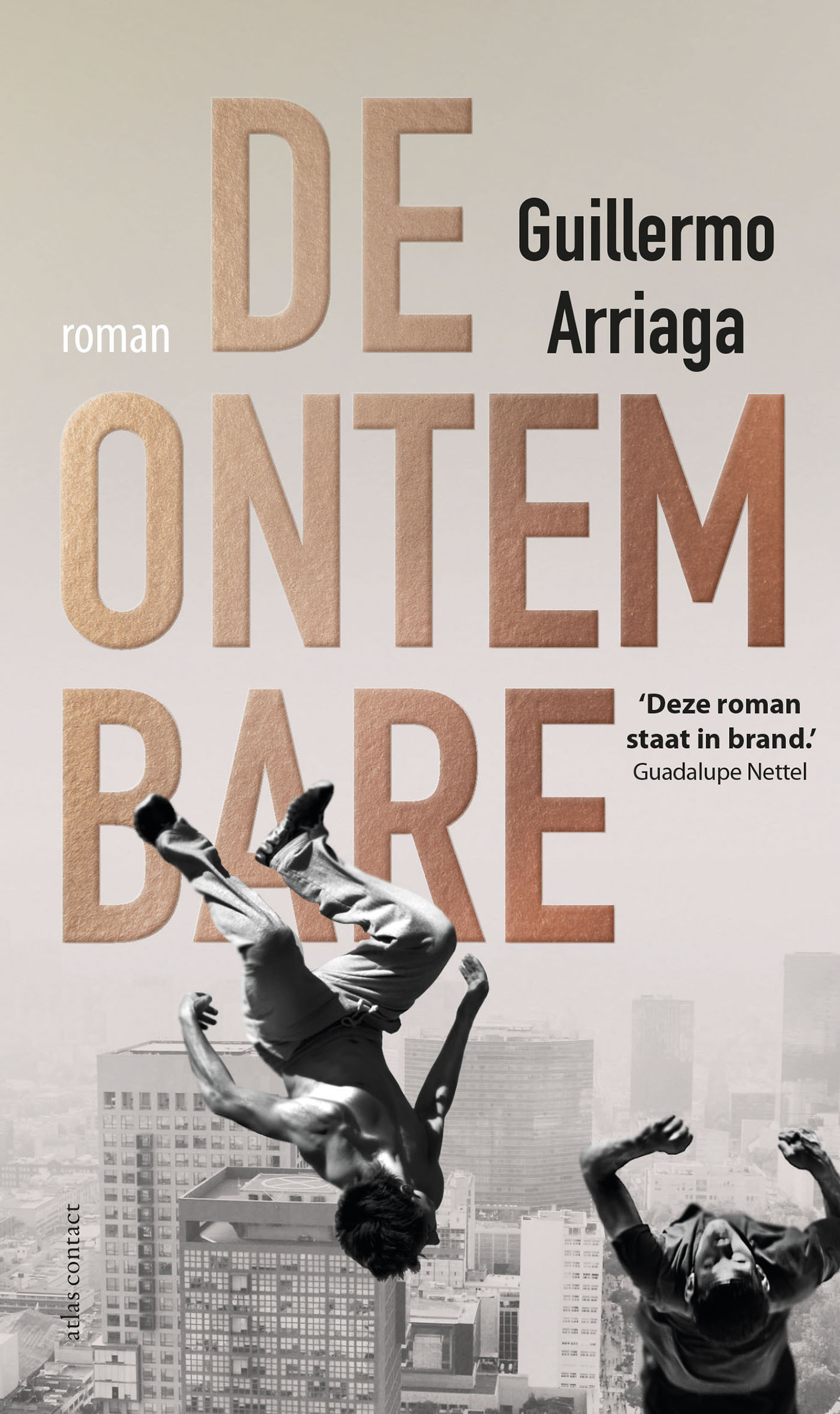 Omslag van De ontembare