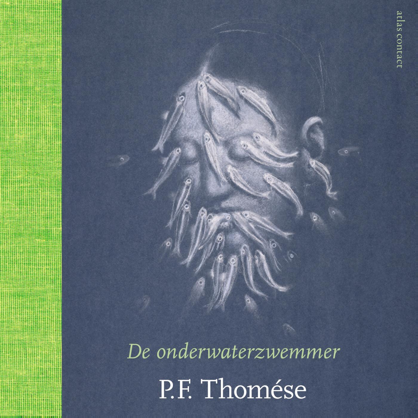 Omslag van De onderwaterzwemmer