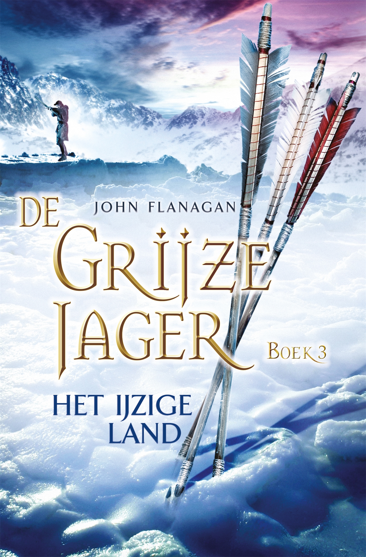 Omslag van Het ijzige land