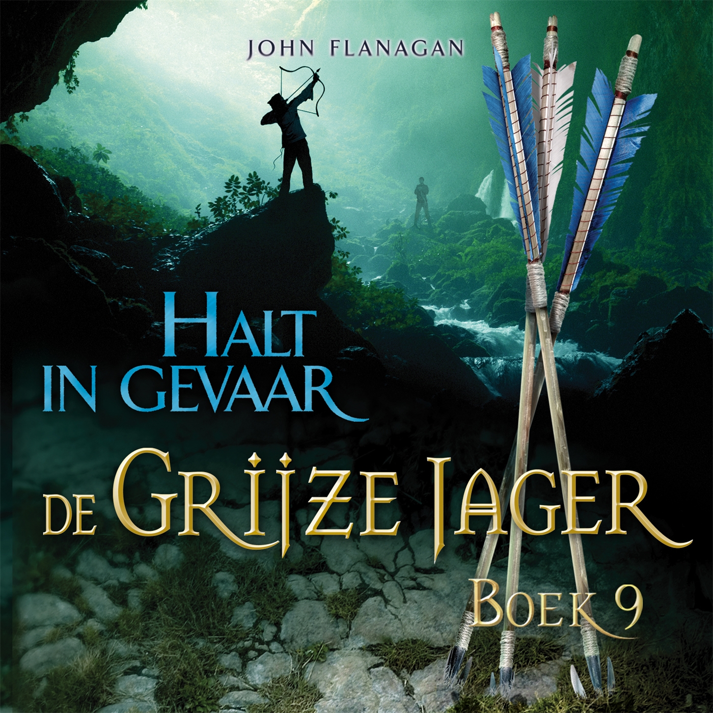 Omslag van Halt in gevaar