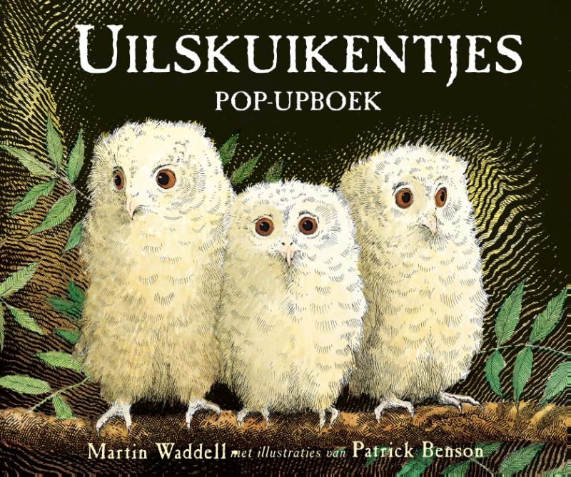 Omslag van Uilskuikentjes