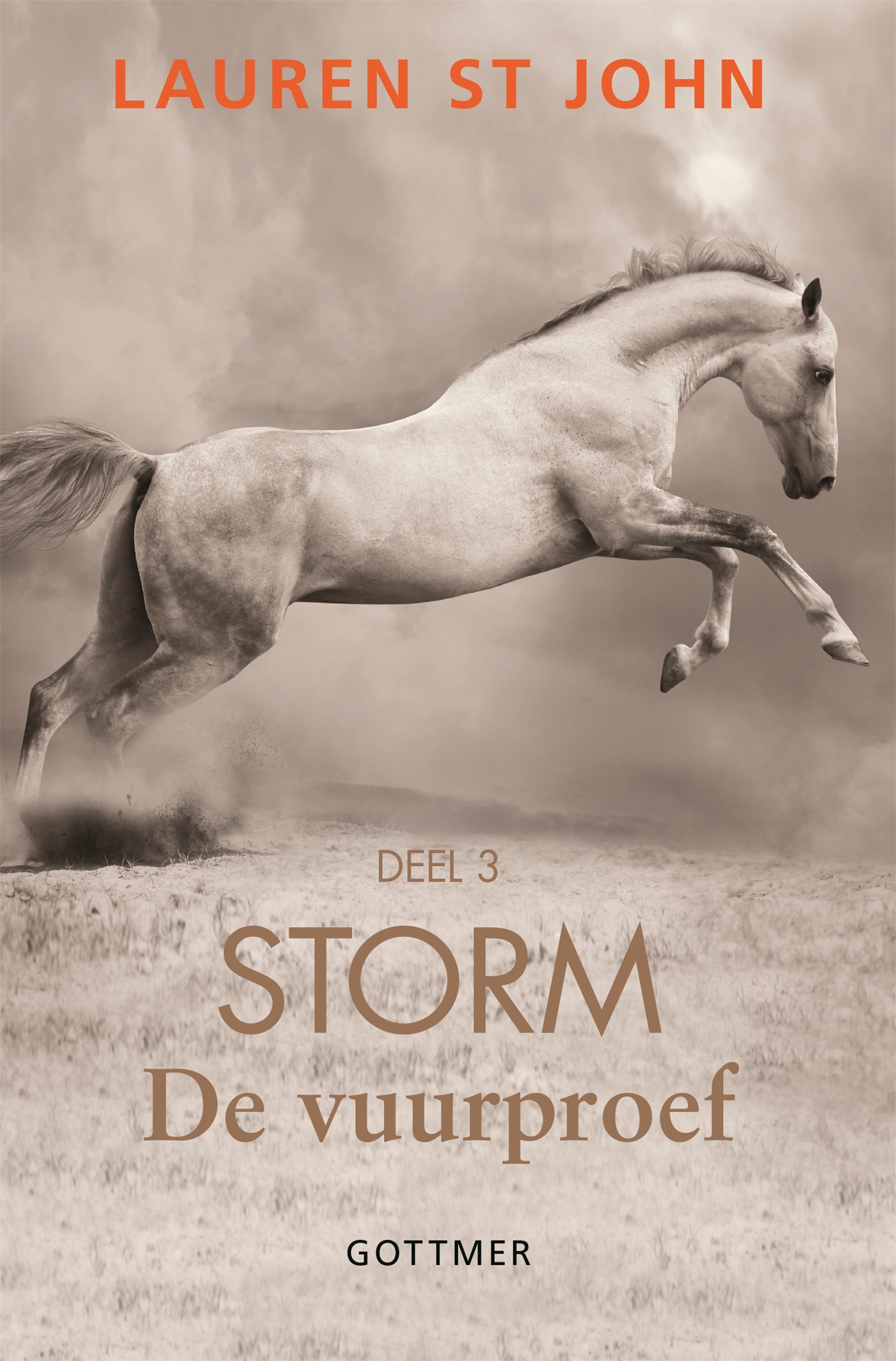 Omslag van De vuurproef