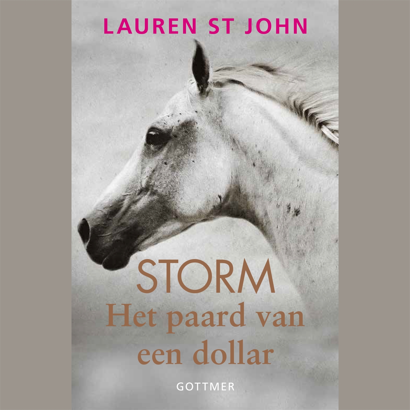 Omslag van Het paard van een dollar
