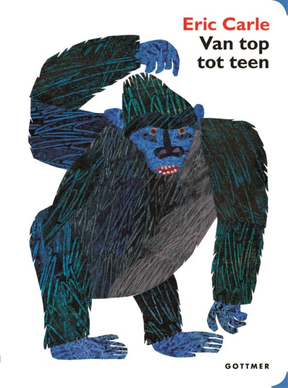 Omslag van Van top tot teen