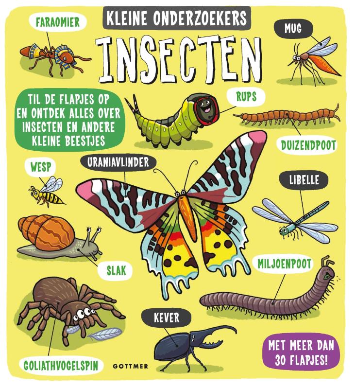Omslag van Insecten