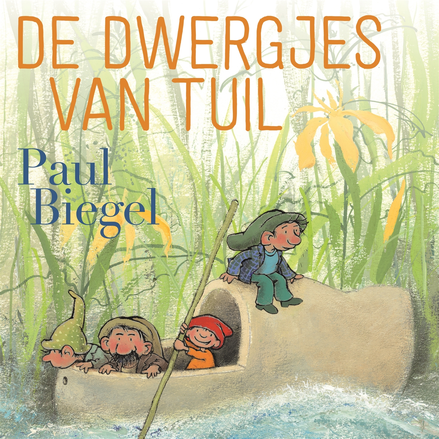 Omslag van De dwergjes van Tuil