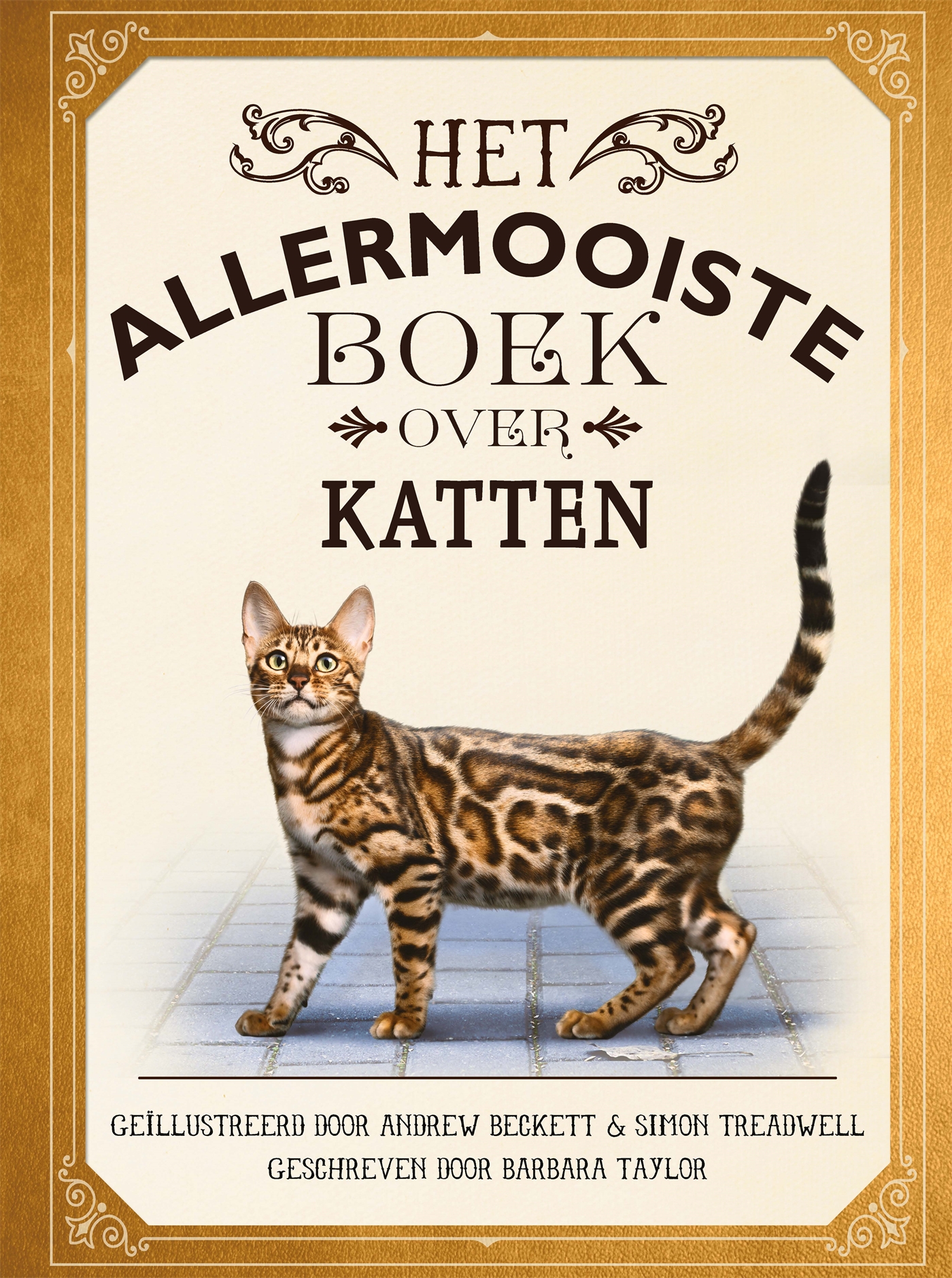 Omslag van Het allermooiste boek over katten