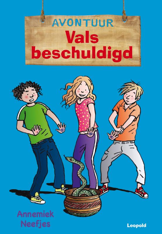 Omslag van Vals beschuldigd