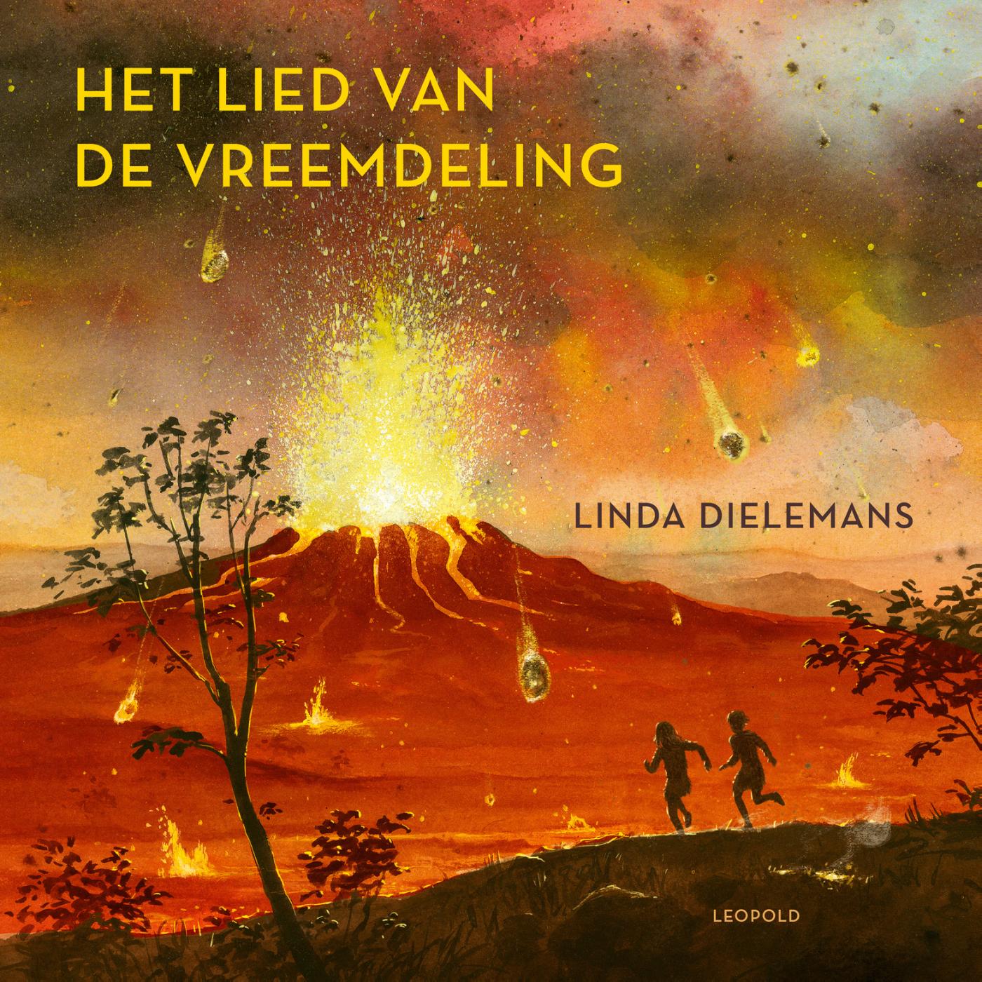 Omslag van Het lied van de vreemdeling