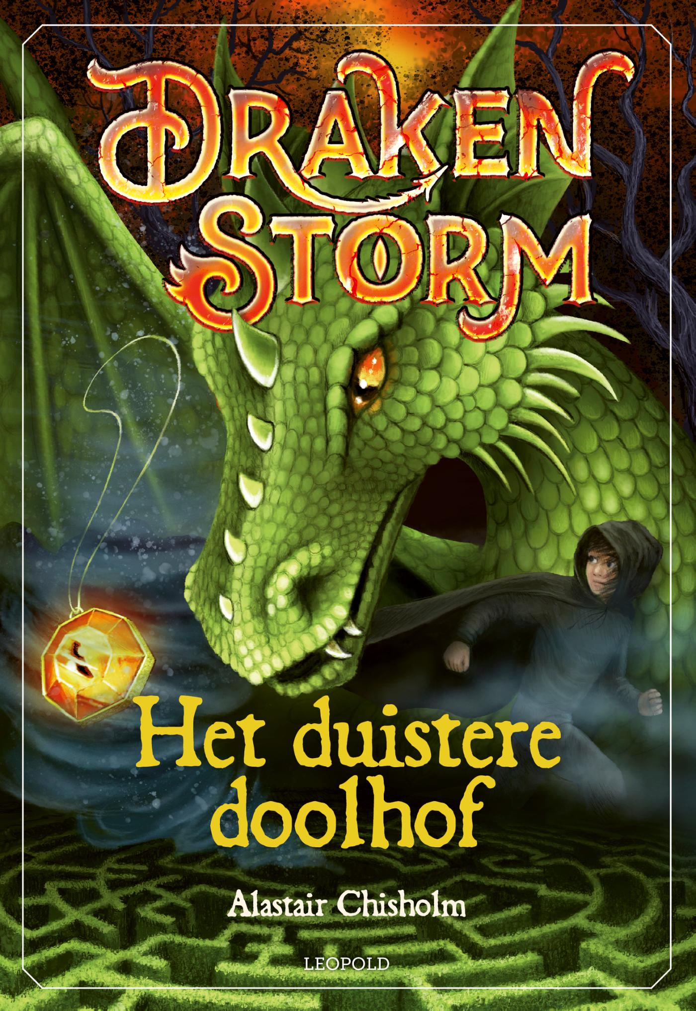 Omslag van Het duistere doolhof