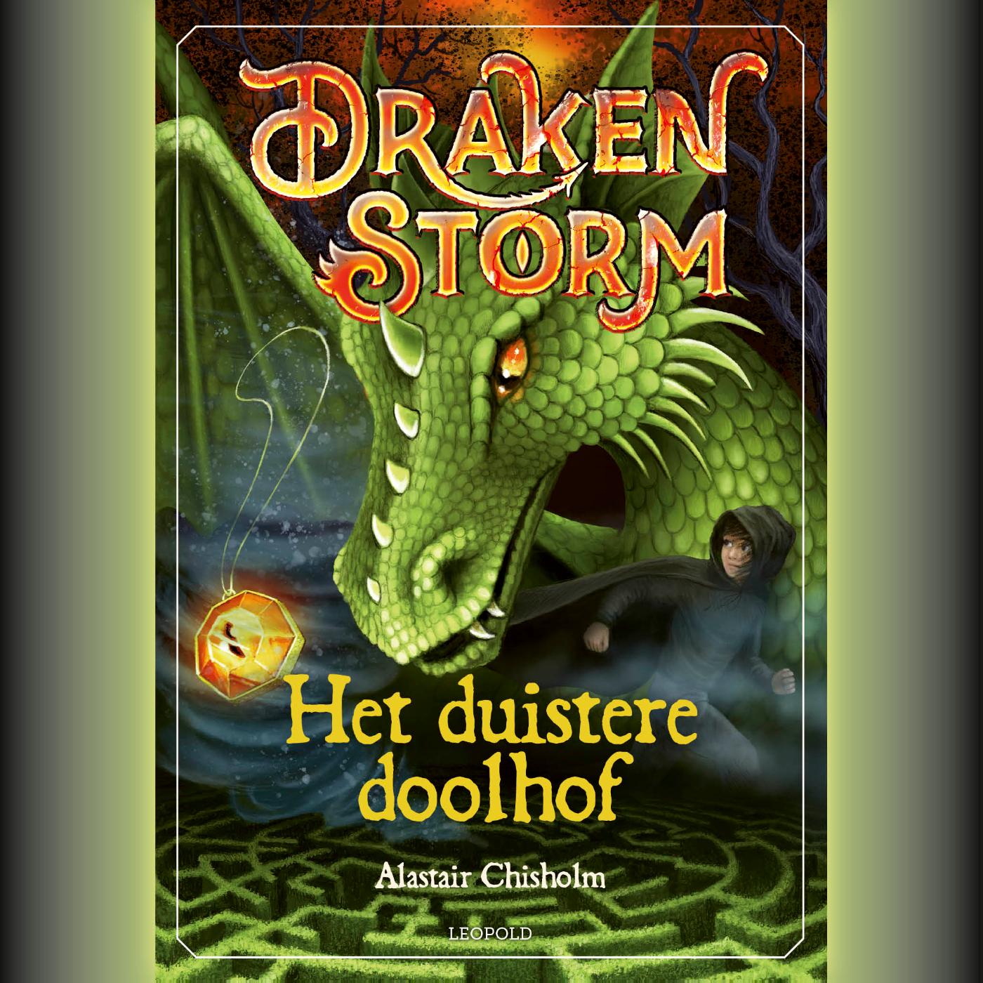 Omslag van Het duistere doolhof
