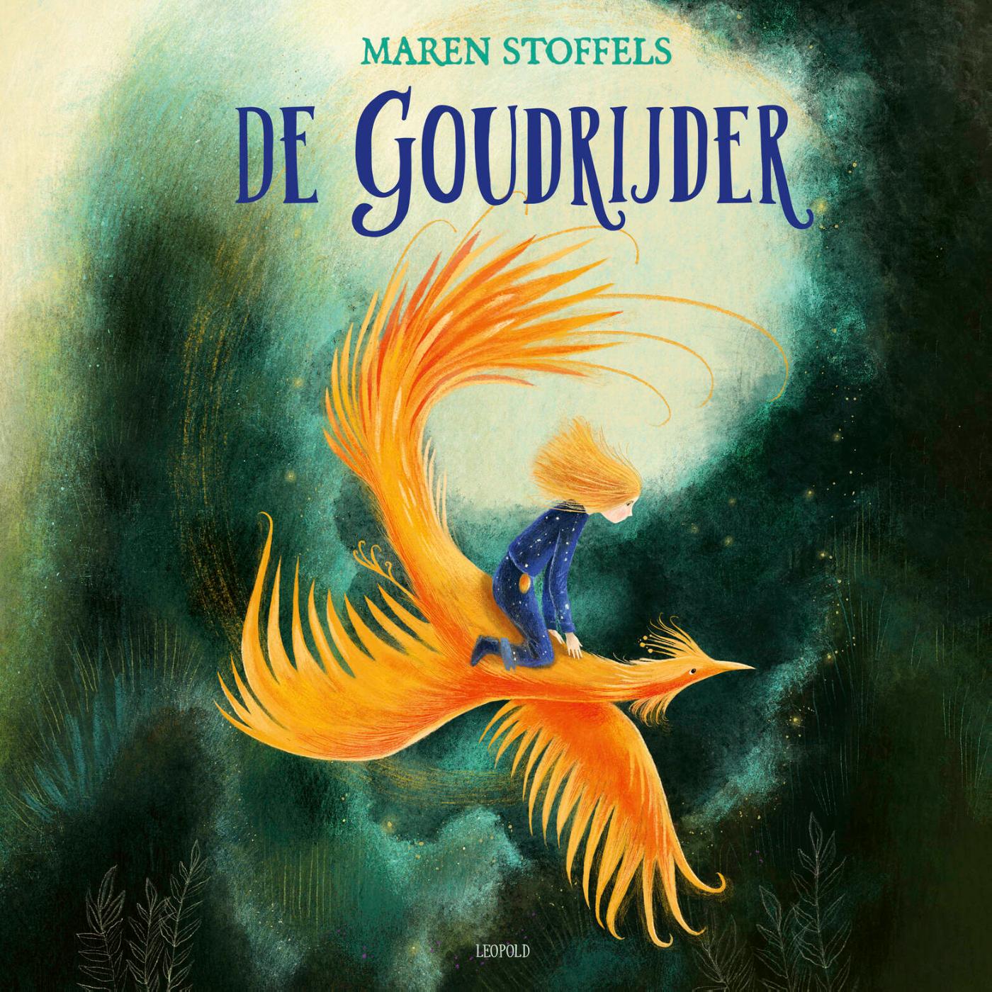 Omslag van De Goudrijder