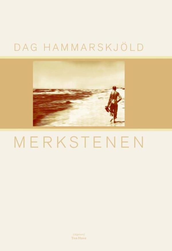Omslag van Merkstenen