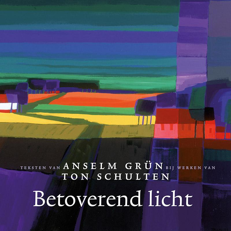 Omslag van Betoverend licht