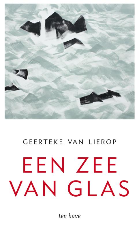 Omslag van Een zee van glas