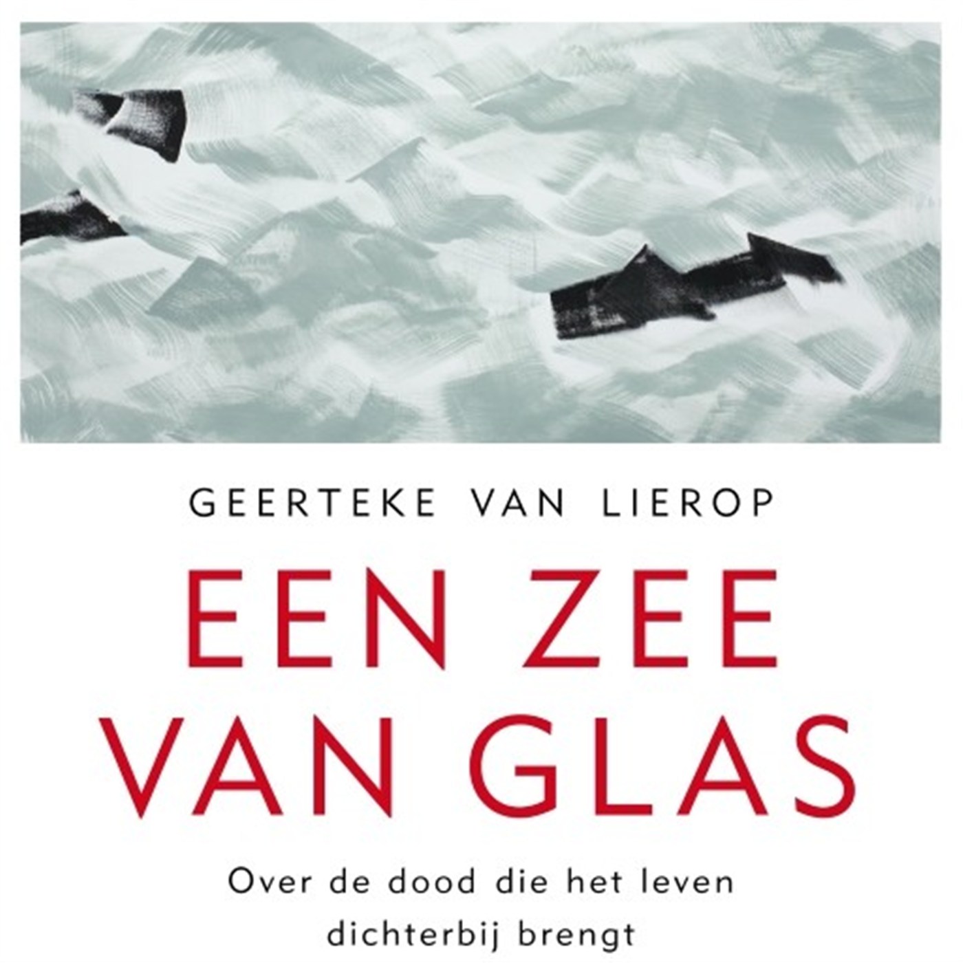 Omslag van Een zee van glas