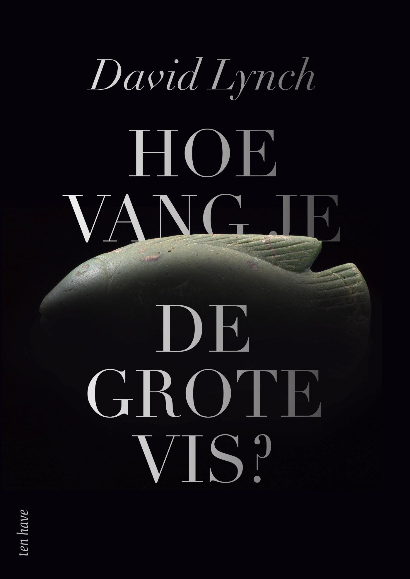 Omslag van Hoe vang je de grote vis?
