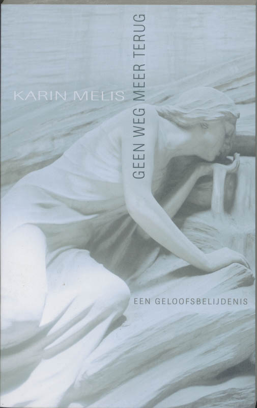 Omslag van Geen weg meer terug
