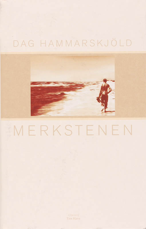 Omslag van Merkstenen