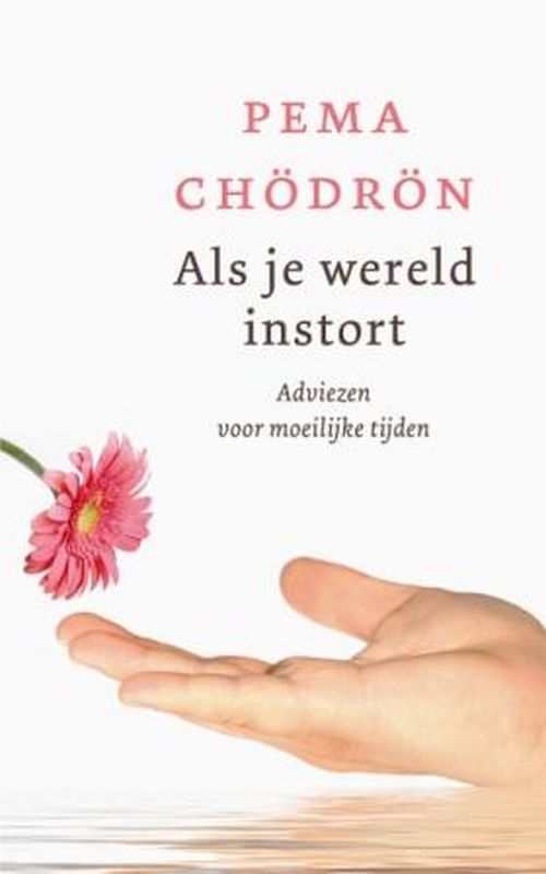 Omslag van Als je wereld instort