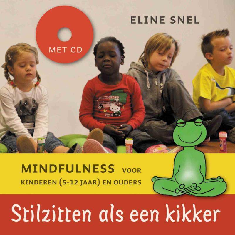 Omslag van Stilzitten als een kikker