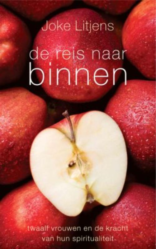 Omslag van De reis naar binnen
