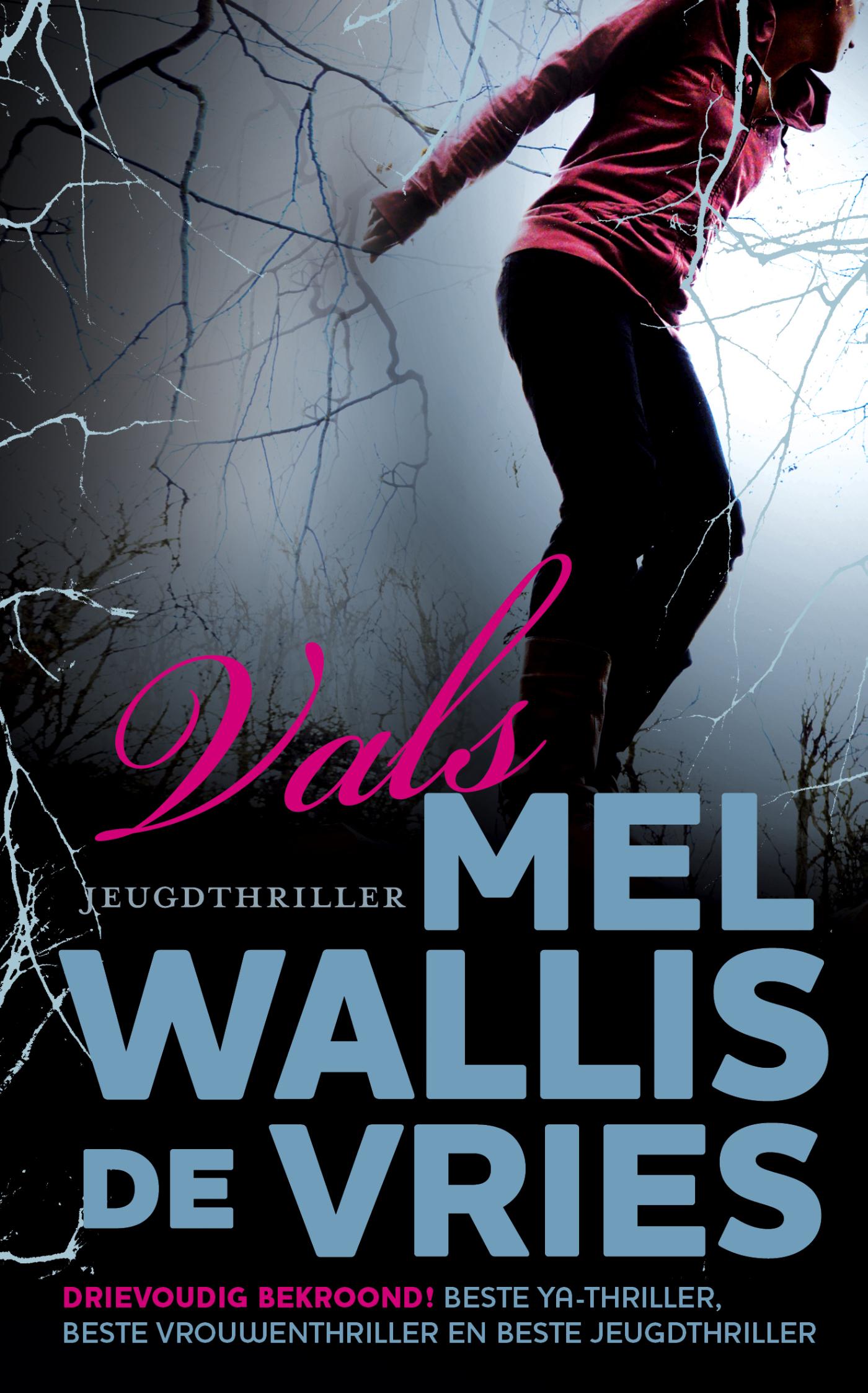 Omslag van Vals