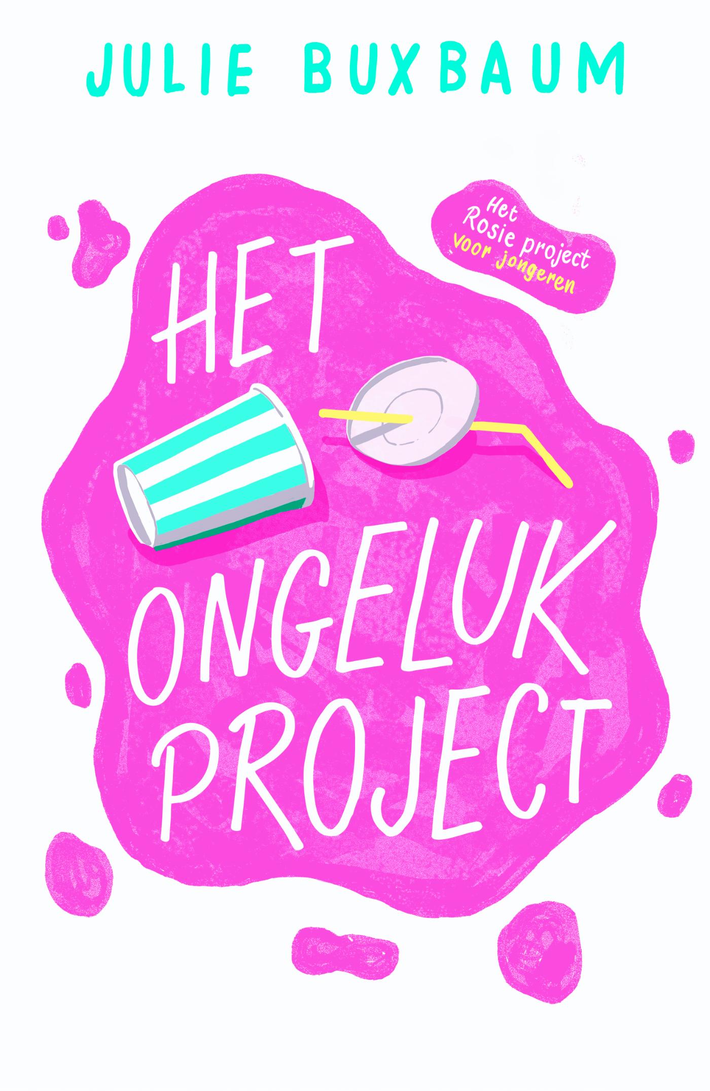 Omslag van Het ongeluk project