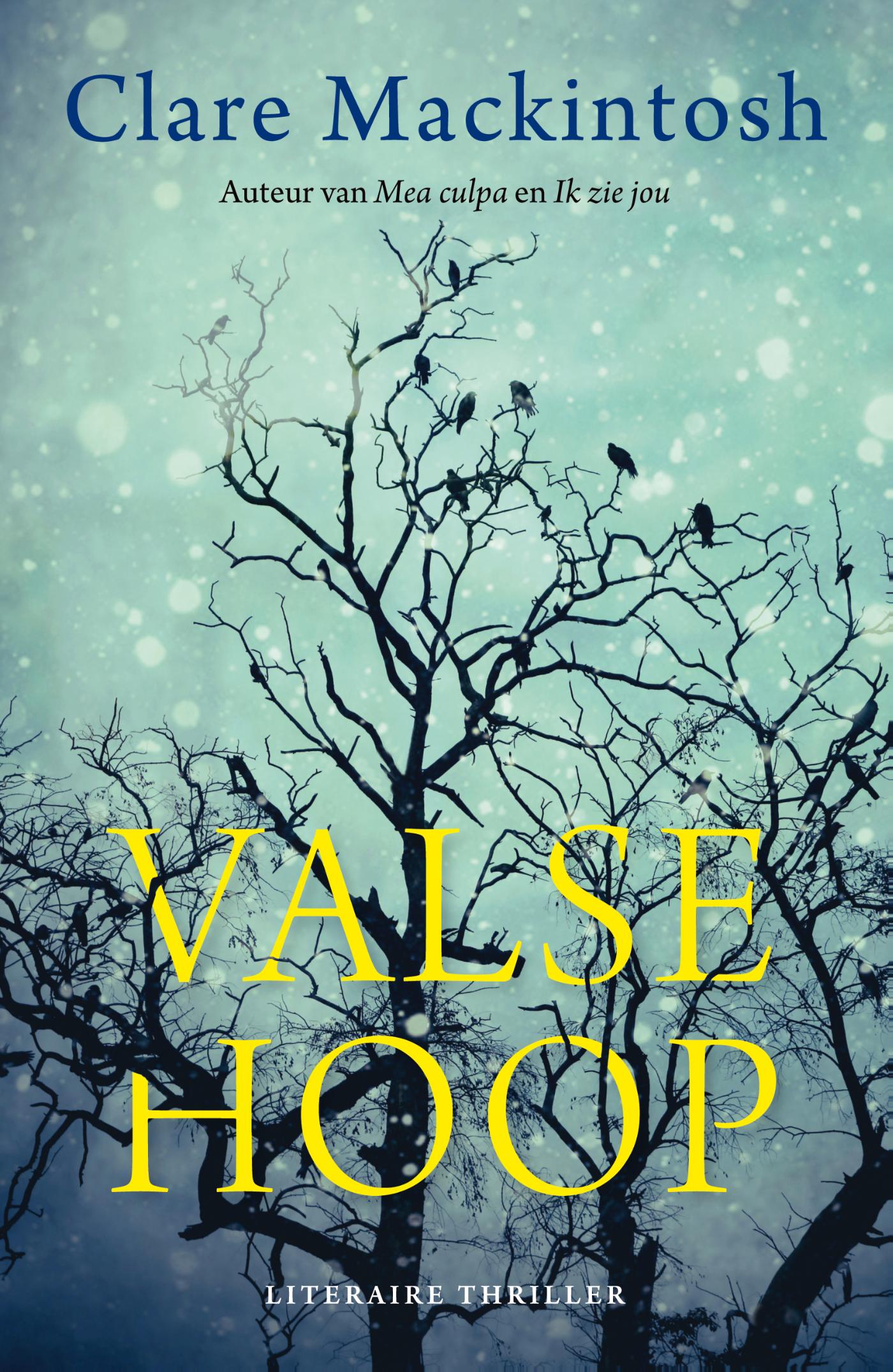 Omslag van Valse hoop