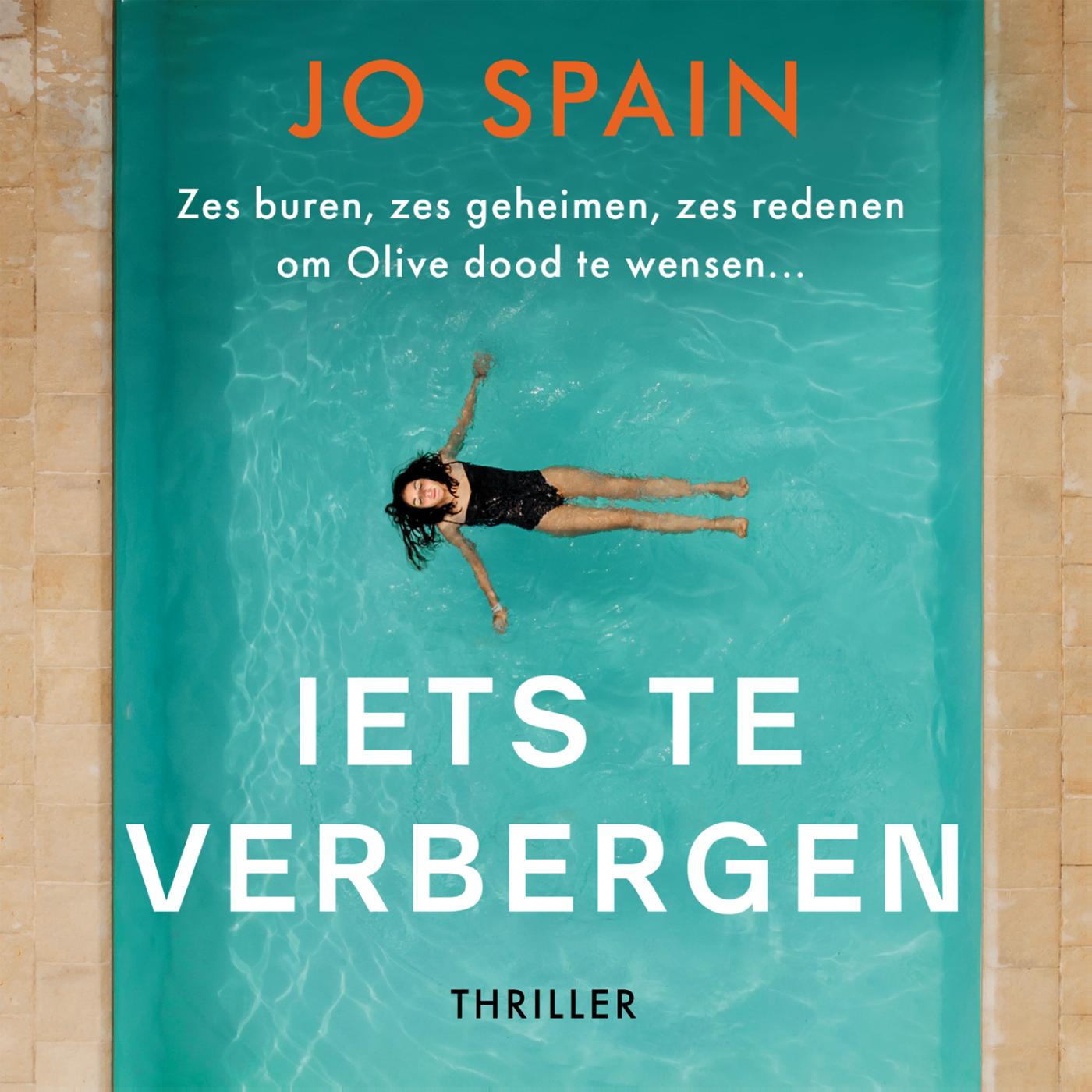 Omslag van Iets te verbergen