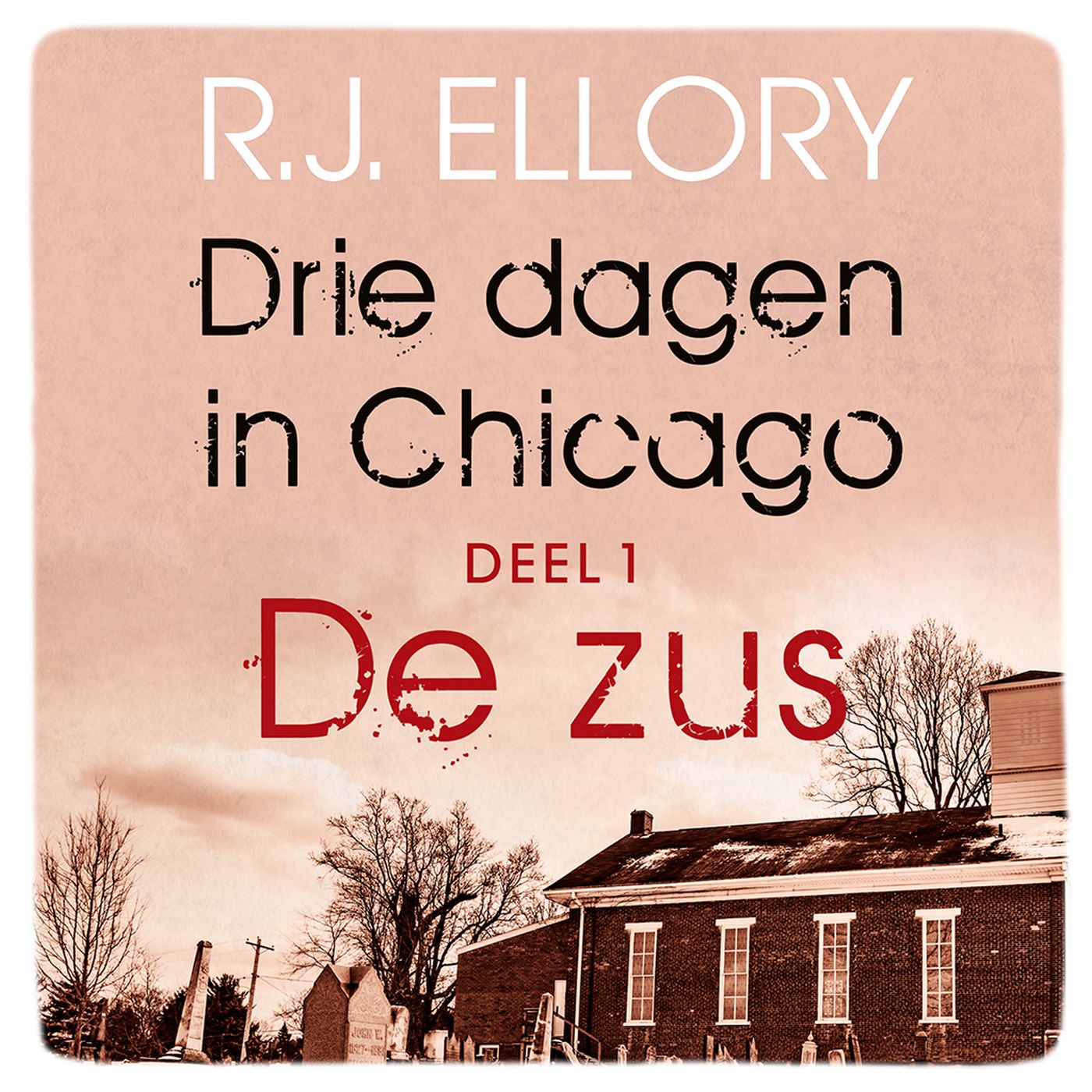 Omslag van De zus