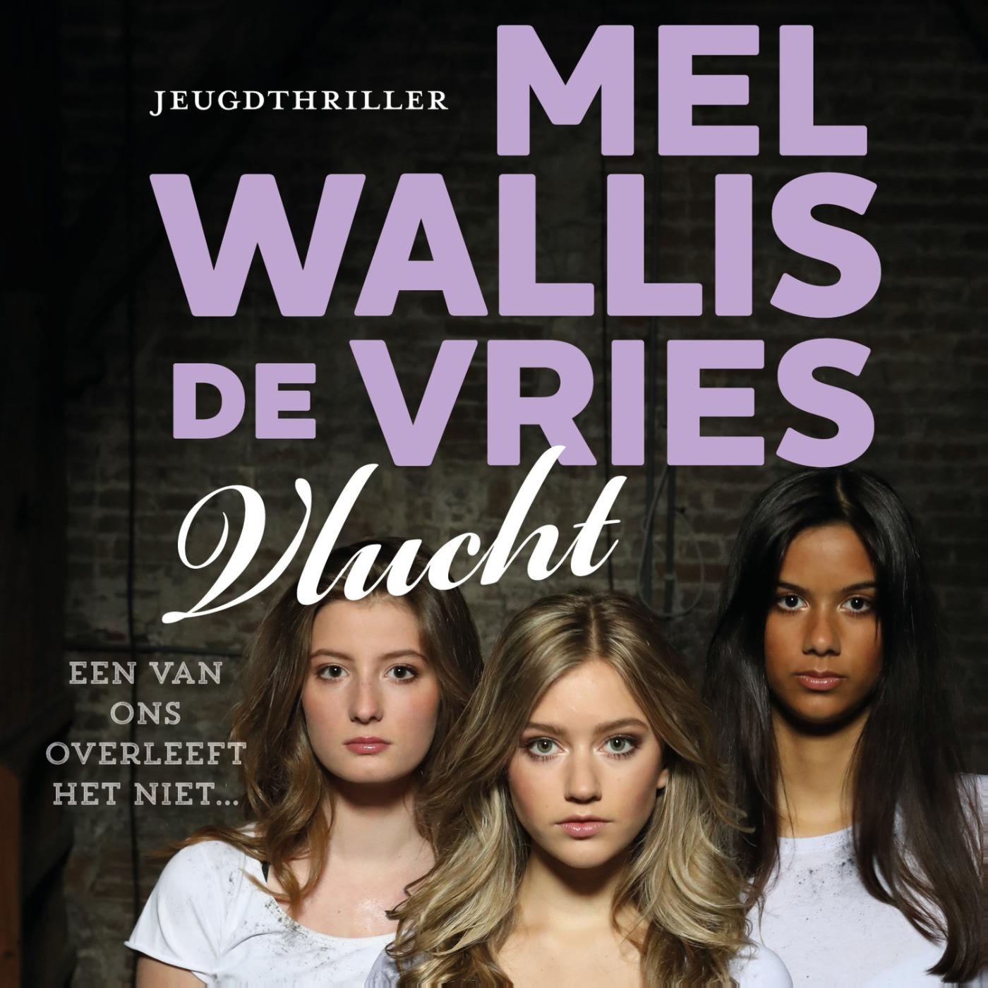 Omslag van Vlucht