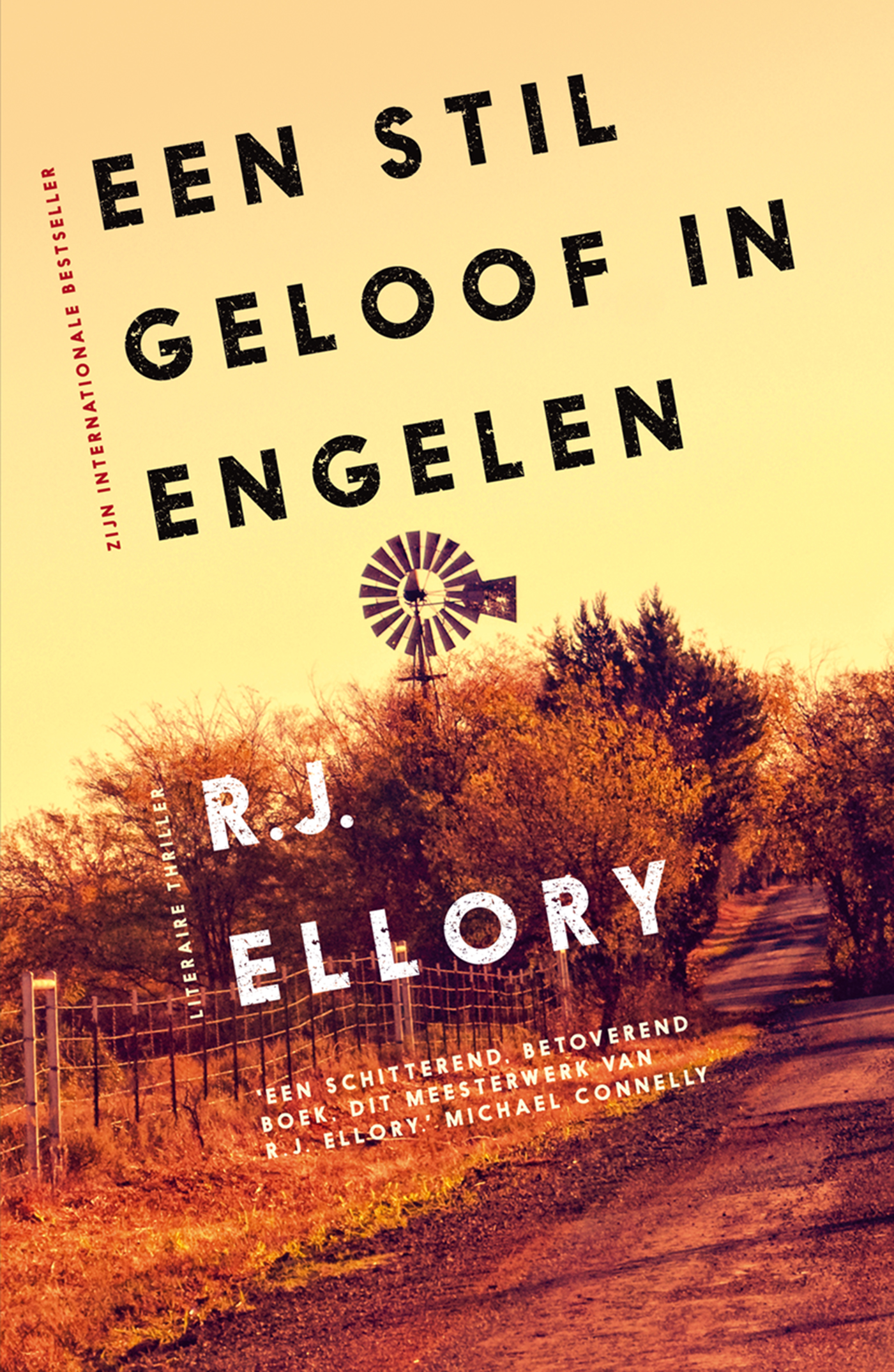 Omslag van Een stil geloof in engelen