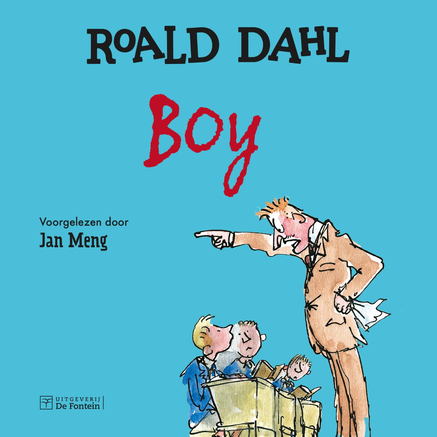 Omslag van BOY